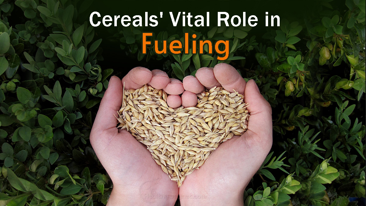 Are Cereals Healthy?